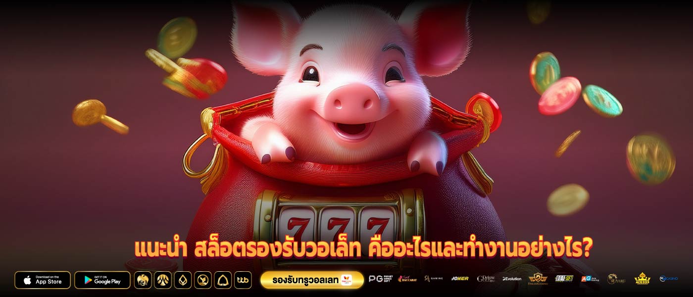 แนะนำ สล็อตรองรับวอเล็ท คืออะไรและทำงานอย่างไร?